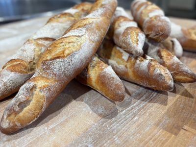 WhatsApp Image 2025-09-25 at 11.14.35